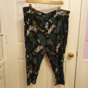 SKU 22W Terra & Sky Capri Athletic Pants.